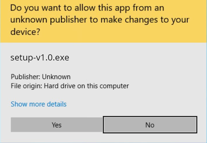 Raaga windows installer